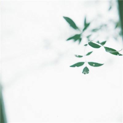 酒价内参3月25日价格发布 大单品终端价格窄幅波动